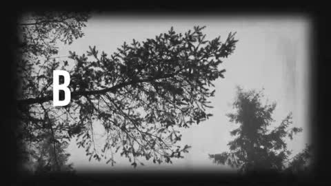 pronoun she. name Mary. age 21. online show from March 2026 11:31:02 PM