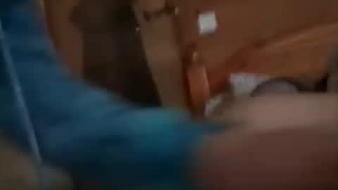 scamp12 online show from October 2025 11:11:02 AM