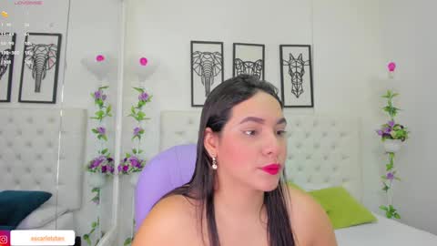 Isa online show from December 2024 11:07:02 AM