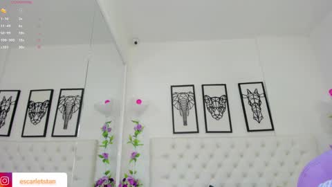 Isa online show from December 2024 11:12:01 AM