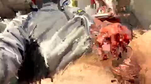 scottj603603 online show from February 2026 06:59:02 PM