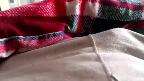 scotycar0408 online show from March 2026 08:07:01 AM