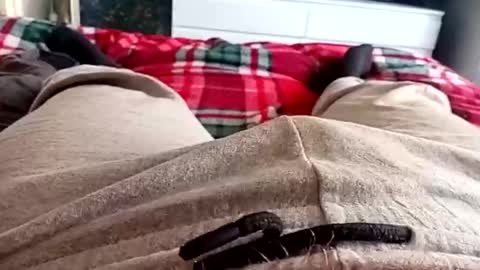 scotycar0408 online show from March 2026 10:18:02 AM