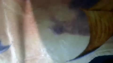 Sunny online show from March 2026 12:43:01 PM