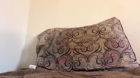 secret_lifestyle69 online show from April 2026 04:00:01 PM