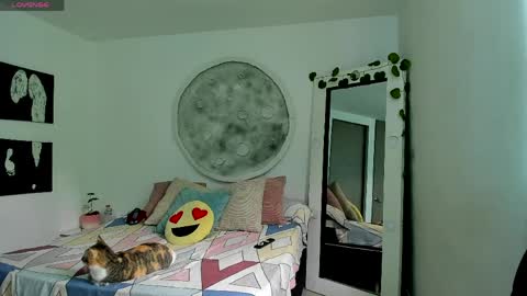 Selyn online show from April 2026 02:51:01 PM