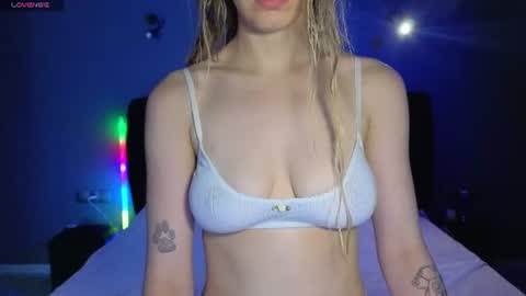 Sophia online show from July 2026 11:47:02 AM