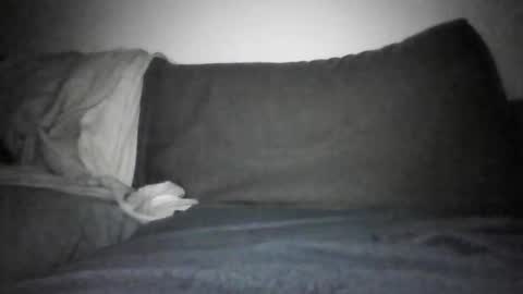 Shorty online show from December 2025 06:14:01 PM