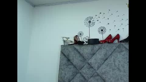 Snapshot of shantey_laurent chatting on June 2026 05:03:01 PM shantey online show from June 2026 05:03:01 PM