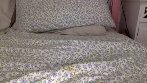 Snapshot of shavednsw chatting on March 2026 08:58:02 AM shavednsw online show from March 2026 08:58:02 AM