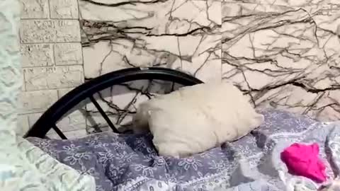 shayka09 online show from March 2026 05:44:02 AM