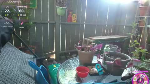 sheilyn_smith online show from June 2026 02:02:02 AM