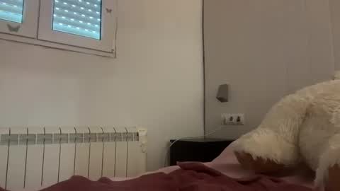 shekitty online show from June 2026 05:44:01 AM