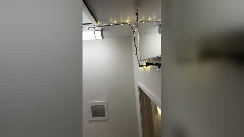 shelbsss17 online show from March 2026 02:31:02 PM