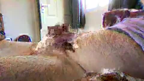 sherlockholmes74 online show from April 2026 03:09:02 PM