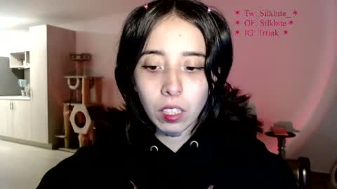 silkbite online show from July 2026 02:42:01 AM