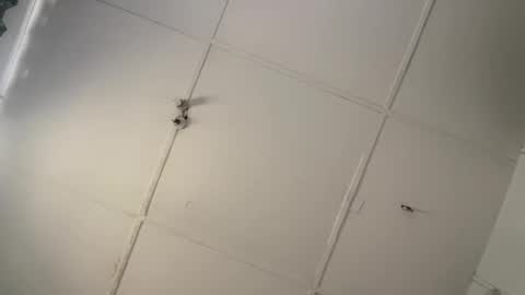 silkyandmasterr online show from March 2026 08:51:01 AM