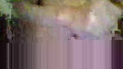 Snapshot of sisinyedz0000 chatting on February 2026 05:41:01 PM sisinyedz0000 online show from February 2026 05:41:01 PM