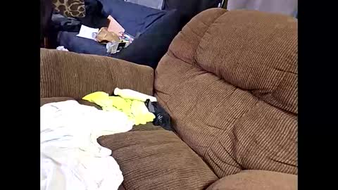 sissyboi124995 online show from April 2026 07:51:02 PM