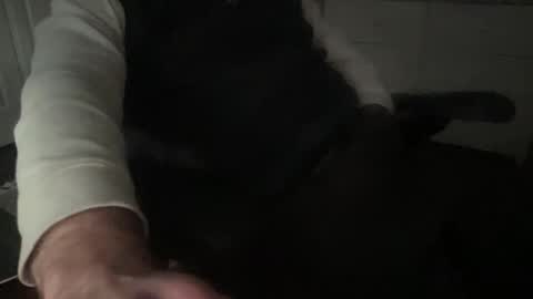 sissytraining2 online show from February 2025 10:25:02 PM