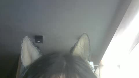 skinnykittencam online show from February 2026 10:25:01 AM