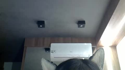 skinnykittencam online show from March 2026 11:06:01 AM