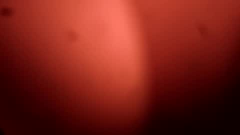 skod4200 online show from May 2026 09:15:02 AM