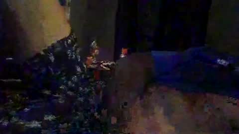 slimeguy315 online show from September 2025 03:40:01 AM