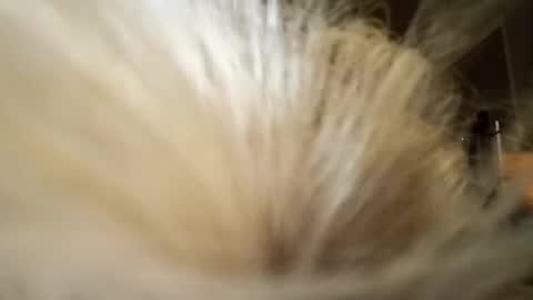 Fun time online show from April 2026 11:51:02 AM