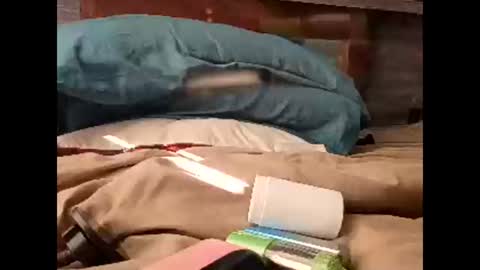 Snapshot of sluttyslut123797367 chatting on March 2026 01:56:01 PM Nastyguurl online show from March 2026 01:56:01 PM