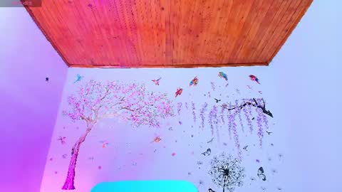 Snapshot of sofiia_diiaz chatting on June 2026 03:25:02 PM Sofa Daz online show from June 2026 03:25:02 PM