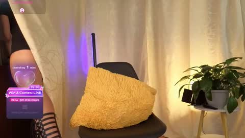 Sophia online show from December 2025 05:31:02 PM