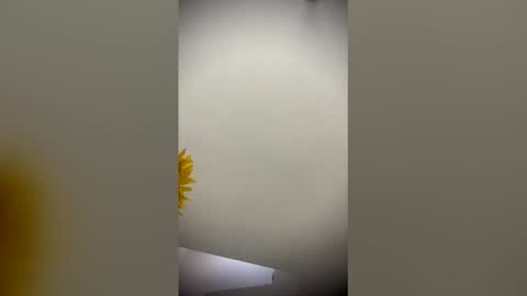 sophie_smith19 online show from March 2026 12:55:02 PM