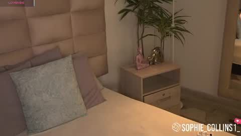 Sophie online show from June 2026 11:55:02 AM