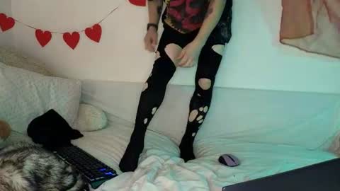 sparkyferret online show from July 2026 11:03:02 AM