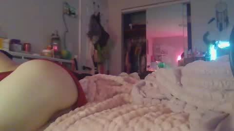 squirtle_2319 online show from May 2026 04:18:01 AM