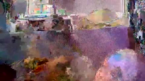 srekos38 online show from April 2026 05:43:01 AM