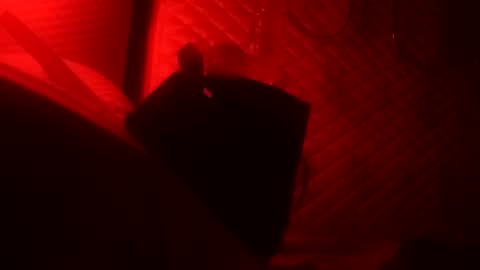 Dick online show from October 2025 08:36:01 AM