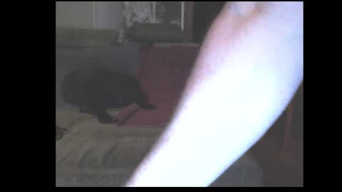 Snapshot of stefangeil123 chatting on March 2026 12:59:02 AM stefangeil123 online show from March 2026 12:59:02 AM