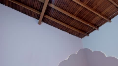 stefie online show from January 2025 02:04:02 AM