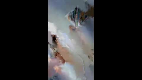 stefvandermaesen online show from May 2026 12:34:02 PM