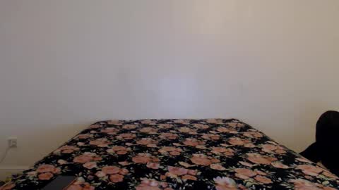 Stella John online show from February 2026 06:42:01 AM