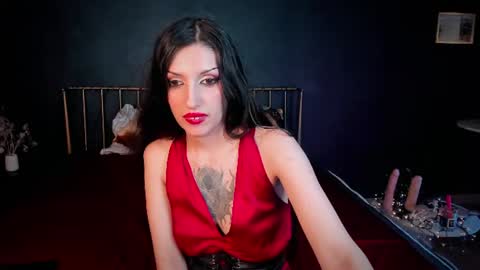 Stella Darkspace online show from June 2026 01:43:01 PM