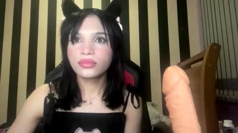 Snapshot of stellapapillon chatting on February 2026 11:31:02 PM stellapapillon online show from February 2026 11:31:02 PM