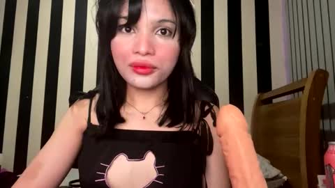 Snapshot of stellapapillon chatting on February 2026 01:02:02 AM stellapapillon online show from February 2026 01:02:02 AM