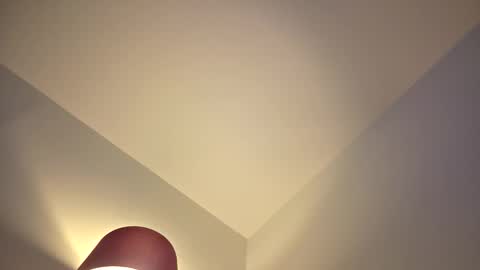 stevedoer1 online show from January 2026 12:13:02 AM