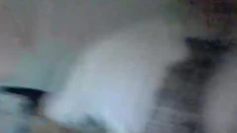 stevedoer1 online show from May 2026 10:26:02 PM