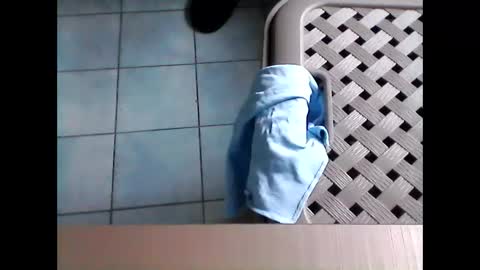 stevenx1974 online show from March 2026 09:02:01 AM