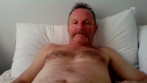 steviehard8 online show from June 2026 11:21:02 PM