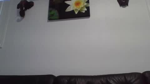 stick6996 online show from June 2026 10:44:02 PM